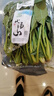 小汤山 菠菜 280g 基地直供新鲜蔬菜GAP认证 实拍图