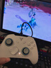 飞智冰原狼4多模版无线游戏手柄 类xbox 力调节摇杆双切扳机 switch电脑PC手机steam体感NS 仁王3 实拍图
