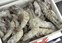 鲜京采 原装进口厄瓜多尔白虾 净重3.3斤 大号30-40规格 50-66只/盒 实拍图
