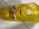 蜂花生姜健发啤酒花洗发露男士女士去油蓬松柔顺洗发水750ml 实拍图