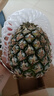 正宗海南金钻凤梨新鲜水果当季树上熟芒果凤梨【催熟食用】 1粒装单果500g-650g【7成熟，催熟再吃】 实拍图