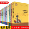 十大文学经典名著（10册）假如给我三天光明+钢铁是怎样炼成的+小王子+傲慢与偏见+瓦尔登湖+爱的教育+了不起的盖茨比+鲁滨逊漂流记+格列佛游记+老人与海 文学原版畅销书经典小说中学生课外阅读书籍 实拍图
