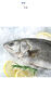 1号会员店（One's Member）零添加保水剂白蕉三去海鲈鱼 1000g（500g*2） 海鱼 海鲜水产 实拍图