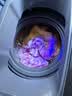 志高（CHIGO）全自动洗衣机 波轮宿舍迷你小型家用 洗烘一体 智能洗脱一体机 大容量 风干 蓝光洗护 强动力电机 【12Kg-主销款-蓝光洗护-强动力电机】 波轮 实拍图