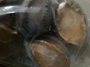 时寐东山岛九孔大鲍鱼深海海鲜东山岛直发火锅烧烤海鲜水产春节礼品 5头/500克 实拍图