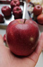 京鲜生 甘肃天水花牛苹果 又大又红 净重4斤 单果160g起  新鲜水果  实拍图