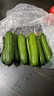水果黄瓜无刺减肥好搭配可即食生鲜蔬菜 【优选】寿光水果黄瓜 1.7斤 净重 实拍图