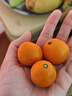 京鲜生 广西第三代脆蜜金柑 2斤礼盒（每斤20-27粒）源头直发包邮 实拍图