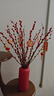 九月生新年装饰银柳真花20支60cm年宵花干花摆件礼盒送礼送亲友带花瓶 实拍图