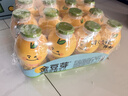 金豆芽儿童金银花柚子汁155ml*16瓶孩子饮料宝宝零食果汁西柚汁 实拍图