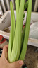 京鲜生山东新鲜大西芹净重4.5斤榨汁现挖芹菜鲜嫩蔬菜 去半叶源头直发 实拍图