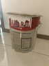 立邦乳胶漆竹炭抗甲醛防霉净味五合一墙漆油漆内墙漆54L/约75KG套装  实拍图