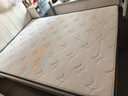 喜临门梦蝶旗舰版 乳胶椰棕床垫抗菌防螨独袋弹簧床垫 1.5x2米 软硬适中 实拍图