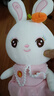 威尔通（WELTSTON）毛绒玩具布娃娃抱枕安抚玩偶儿童生日新年礼物礼品女小白兔子公仔 实拍图