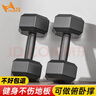 华亚（HUAYA） 哑铃环保包胶六角手铃男士家用健身器材 5KG 一对（2.5KG*2只） 实拍图