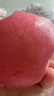京鲜生山东烟台红富士苹果 5斤装单果75-80mm生鲜水果 源头直发 包邮 实拍图