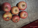 京喜加正宗红富士丑苹果脆爽多汁应季红富士苹果新鲜苹果多仓混发 整箱2斤A+级中果【果径70-75】 实拍图