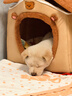 阿柴与猫封闭式猫窝大房子小型犬狗窝睡觉猫狗屋可拆洗四季通用宠物窝 实拍图