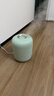 飞科（FLYCO）【年会奖品年货礼物】加湿器卧室空气桌面加湿器婴儿孕妇小型家用加湿器落地智能办公室客厅轻音 FH9213【4L绿色】 实拍图