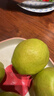 京鲜生 新疆库尔勒香梨 净重10斤 特级 单果120g以上 生鲜水果 实拍图