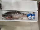 查干湖鱼【京东生鲜 年货礼盒】冬捕有机胖头鱼7.5-8斤 1条 年年有余 实拍图