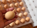 京鲜生富硒鲜鸡蛋30枚 3斤 源头直发 实拍图