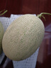 京鲜生 海南哈密瓜西州蜜/西周蜜 2粒5-7斤 单果2.5斤生鲜水果年货礼盒 实拍图