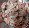 鲜京采 进口格陵兰北极甜虾 净重2斤 90-150只 生甜虾 年货聚餐 实拍图