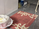 大江地垫入户脚垫进户门地毯入户门防滑出入平安门垫门口60x90cm 实拍图