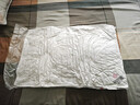 洁丽雅（Grace）专版刺绣枕头枕芯星级酒店羽丝绒枕芯纤维软枕芯单只装 实拍图