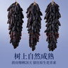 楼兰蜜语新疆大个蓝宝石葡萄干230g免洗特产烘焙儿童黑手指下午茶零食蜜饯 实拍图