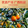 京觅融安脆蜜金桔年货礼盒净重2.5斤单果15g+ 脆蜜金柑水果源头直发 实拍图