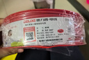 德力西（DELIXI）电线电缆ZC-BVR1.5平方阻燃单芯多股家用铜芯电线100米红色火线  实拍图