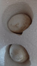 百世富泽（BAISHIFUZE）【百世富泽】黄河滩大鹅蛋新鲜正宗土鹅蛋农家自养孕妇超大鹅蛋 12枚130-150克 实拍图