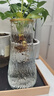 玻璃花瓶透明植物插花瓶水培容器大花瓶装饰客厅摆件 透明描金水波纹（17*5.5*8） 1个装 实拍图