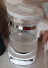 新贝恒温水壶全玻璃 恒温壶婴儿冲奶 调奶器温奶器烧水壶养生壶8235 实拍图