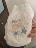 巴布豆（BOBDOG）菠萝裤纸尿裤XXL号36片(14-17KG) 尿不湿 超薄透气 干爽 实拍图