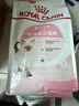 皇家幼猫猫粮 幼猫奶糕 K36 通用粮 4-12月 2KG 实拍图
