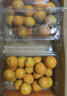 京鲜生 广西第三代脆蜜金柑 2斤礼盒（每斤20-27粒）源头直发包邮 实拍图