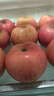 京鲜生 烟台红富士苹果 净重10斤  单果160g以上 水果礼盒 实拍图