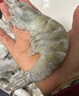 严谨青虾白虾 新疆淡水养殖大虾 基围虾生鲜特大号 （20/30）4斤装 0kg(净重) 实拍图