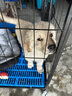 腆宠狗笼狗窝狗笼子大型犬中型犬小型犬带厕所加粗家用宠物笼子围栏 实拍图