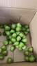 阳光玫瑰葡萄晴王青提香水提子山西新鲜水果一斤也是批发价 带箱5斤大果【单果克重10g-20g】（净重约4.5斤） 实拍图