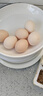 京喜加土鸡蛋 新鲜鸡蛋山林自养 生鲜溏心蛋 卤蛋早餐京东买菜40g正负5g 鸡蛋6枚装240g+【活动专属】 实拍图