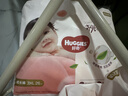 好奇（Huggies）铂金装小桃裤成长裤XXL74片(15kg以上)尿不湿【透爽散热】 实拍图