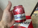 百威啤酒mini红罐淡色拉格255ml*24听小罐整箱装京东自营喜酒新年送礼 实拍图