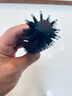紫韵梳香Rahua系列猪鬃毛卷发梳子女男滚梳卷发梳理发造型梳内扣美发梳J-3 实拍图