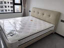 全友（QUANU）家居天然椰棕独立弹簧床垫席梦思床垫子1.8x2米乳胶床垫软硬适中 【撑腰垫Pro | 面料进阶】床垫（20cm厚） 1.5x2米 实拍图