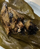 五芳斋 速冻蛋黄猪肉粽 100g*5只 嘉兴粽子蛋黄肉粽端午粽子早餐食品 实拍图