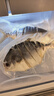 北海印象北海特产金鲳鱼干2条装(约300-400g/条)海鲜干货年货春节送礼礼品 实拍图